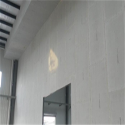 栾城宁波ALC板|EPS加气板隔墙与混凝土整浇联接的实验研讨